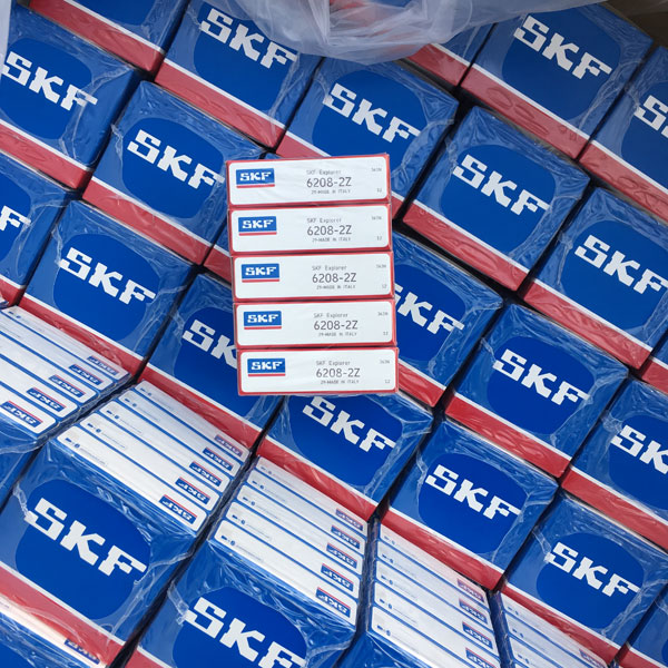 SKF进口轴承检查方法