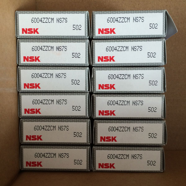 6004ZZCM