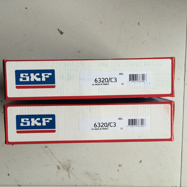 SKF-6320C3